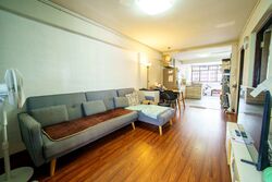 Blk 165 Stirling View (Queenstown), HDB 3 Rooms #611946591